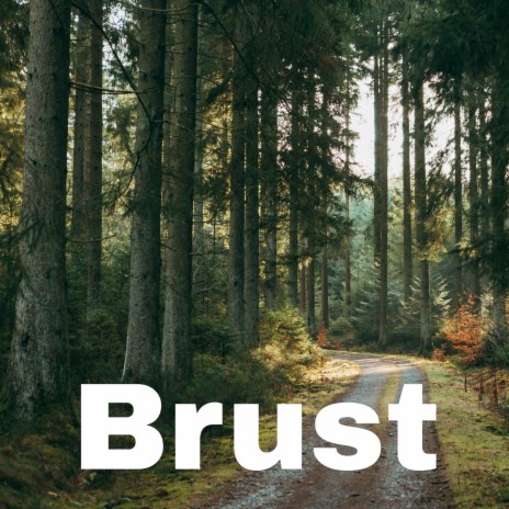 Bruster | Boomplay Music