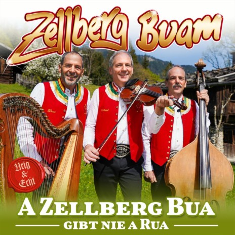 A Zellberg Bua gibt nie a Rua | Boomplay Music