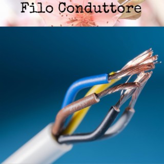 Filo Conduttore