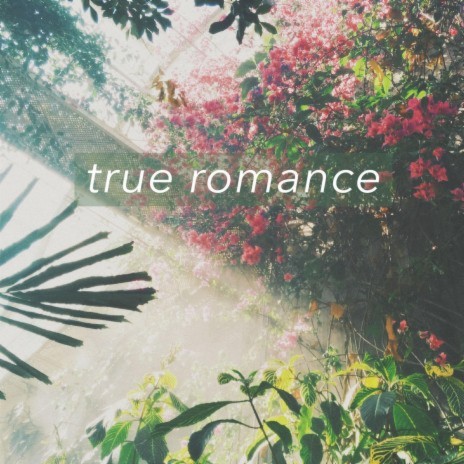 True Romance | Boomplay Music