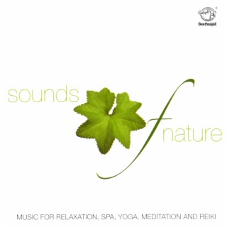 Sounds of Nature - Music for Relaxation