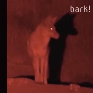 bark!