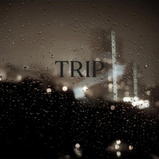 Trip