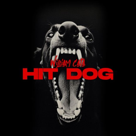 Hit Dog | Boomplay Music