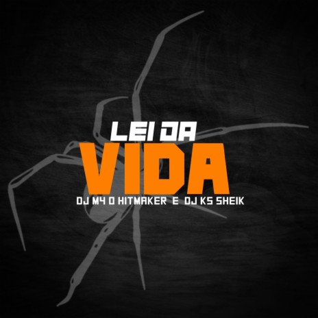 LEI DA VIDA ft. DJ KS SHEIK | Boomplay Music