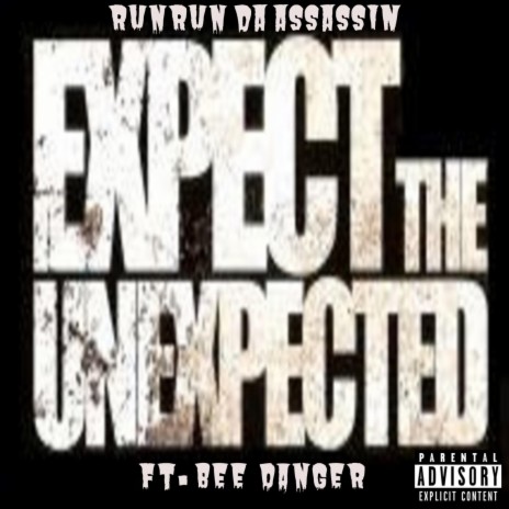 Expect The Unexpected (Radio Edit) ft. Bee Danger | Boomplay Music