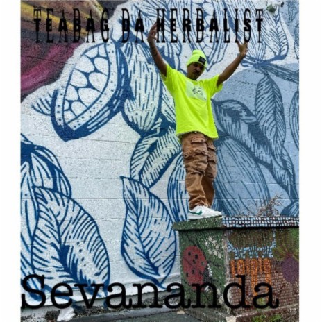 Sevananda Jingle | Boomplay Music