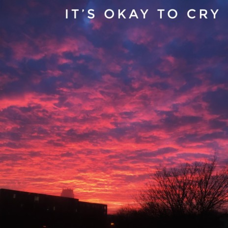 It's Okay to Cry | Boomplay Music