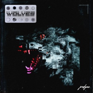 Wolves lyrics | Boomplay Music