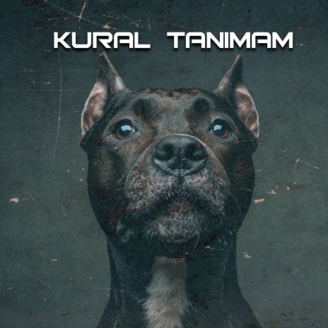 Kural Tanımam ft. Reform | Boomplay Music