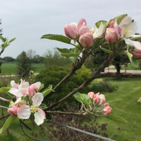 Frühling