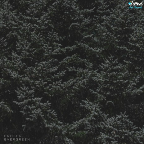 evergreen ft. Lifted LoFi | Boomplay Music