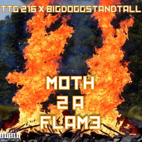 Moth 2 flame | Boomplay Music