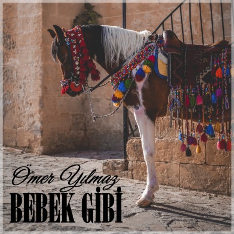 Bebek Gibi | Boomplay Music