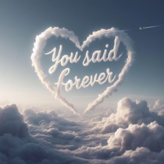 You Said Forever lyrics | Boomplay Music