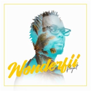 Wonderfϋ Project