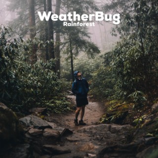 WeatherBug