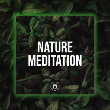 Nature Melodies | Boomplay Music