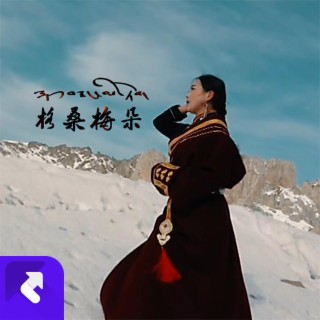 格桑梅朵 lyrics | Boomplay Music