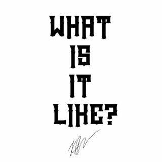 What Is It Like? lyrics | Boomplay Music