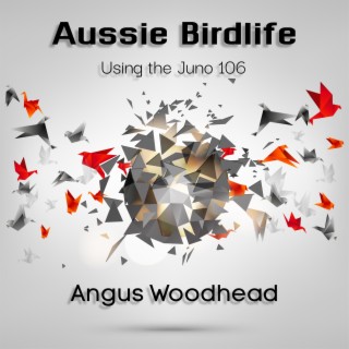 Aussie Birdlife Using the Juno 106