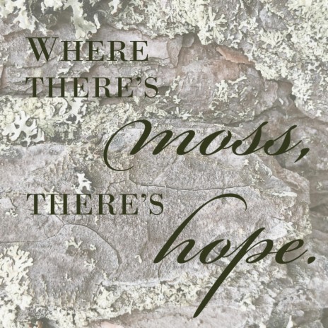 Where There's Moss There's Hope | Boomplay Music