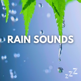 Real Rain Sounds (Live Recording, Loopable)