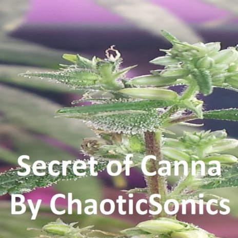 Secret of Canna | Boomplay Music