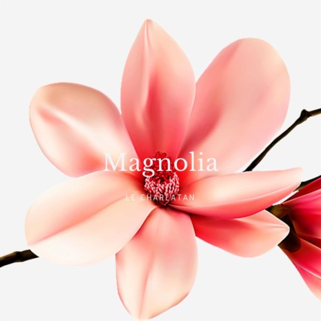 Magnolia | Boomplay Music