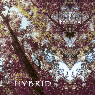 Hybrid