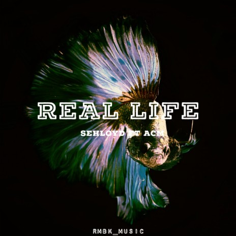 Real Life ft. ACM | Boomplay Music