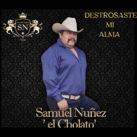 Destrosaste Mi Alma | Boomplay Music