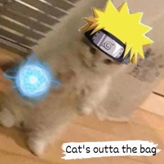 Cat's outta the bag