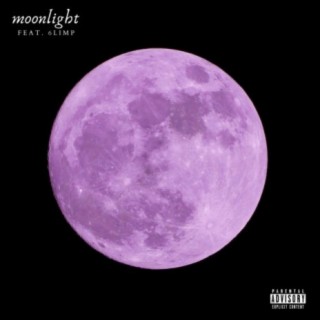 moonlight