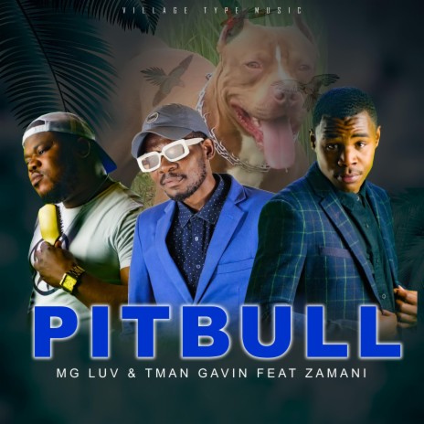 PIT BULL ft. Tman Gavini & Zamani | Boomplay Music