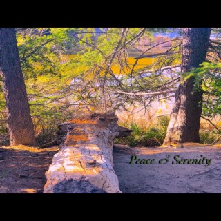 Peace & Serenity