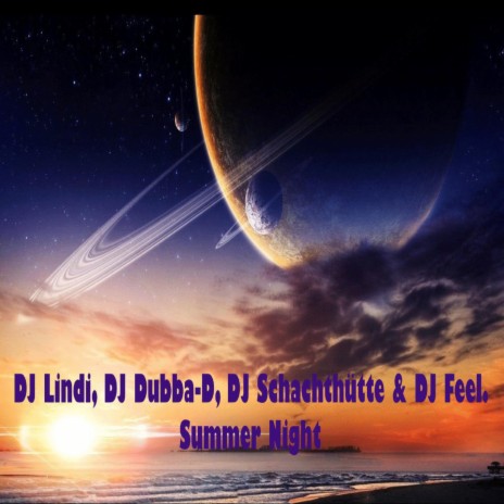 Summer Night ft. DJ Lindi, DJ Schachthütte & Feel. | Boomplay Music