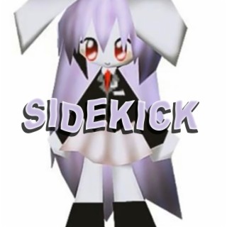 sidekick