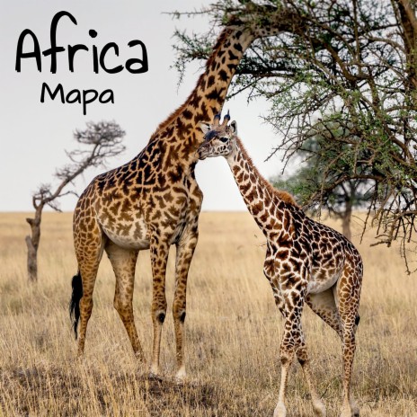 African Safari | Boomplay Music