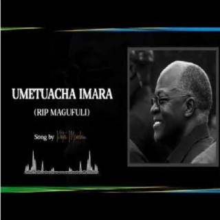 Umetuacha Imara (R.I.P Magufuli) lyrics | Boomplay Music