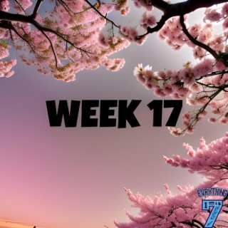 Week 17