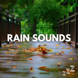 Natural Rain (Live Recording, Loopable)