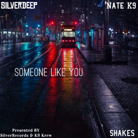 Someone Like You ft. Silverdeep & Shakes