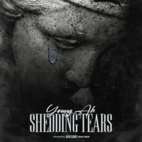 Shedding Tears | Boomplay Music