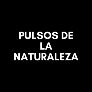 Pulsos De La Naturaleza