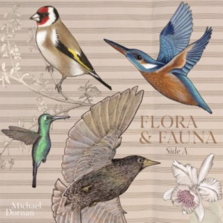 Flora & Fauna (Side A) (EP Version)