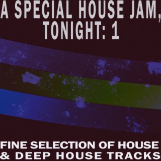 A Special House Jam, Tonight, Vol. 1