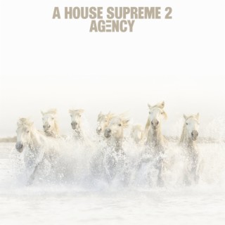 A HOUSE SUPREME 2