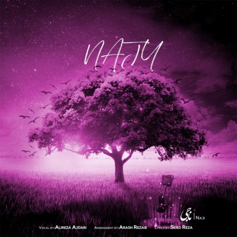 Naji ft. Arash Rezaei | Boomplay Music