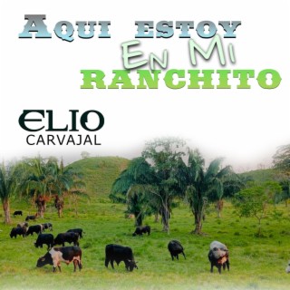 Aqui Estoy En Mi Ranchito